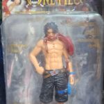 شخصيات وان بيس one piece